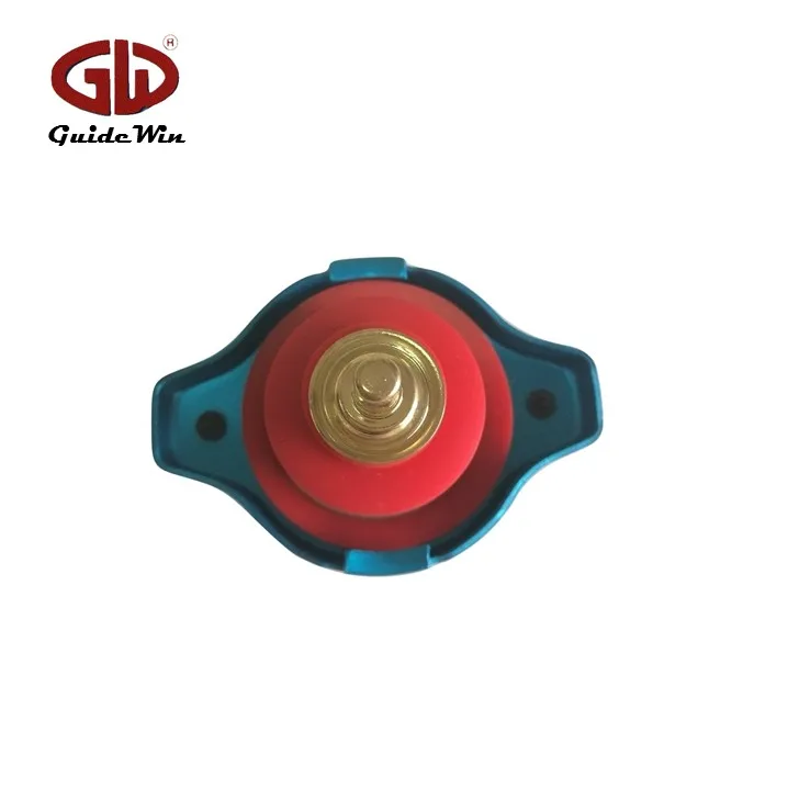 T125 auto spare parts car thermometer radiator cap