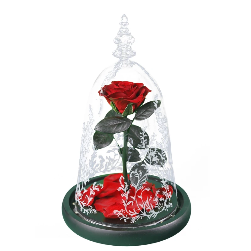 
2018 new style best gift with led light beauty and the beast preserved flower eternal rose in glass dome 