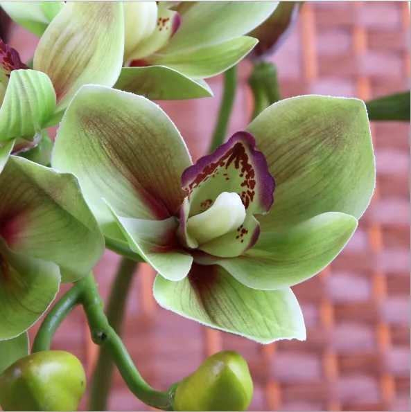 New products artificial real touch silk orchid flower cymbidium orchid silk flower