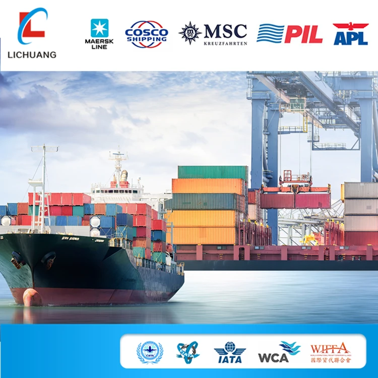 Professional Express Air and Sea Freight Service to Portugal/Bulgaria/Slovakia/Slovenia Door To Door Shipping Agent From China