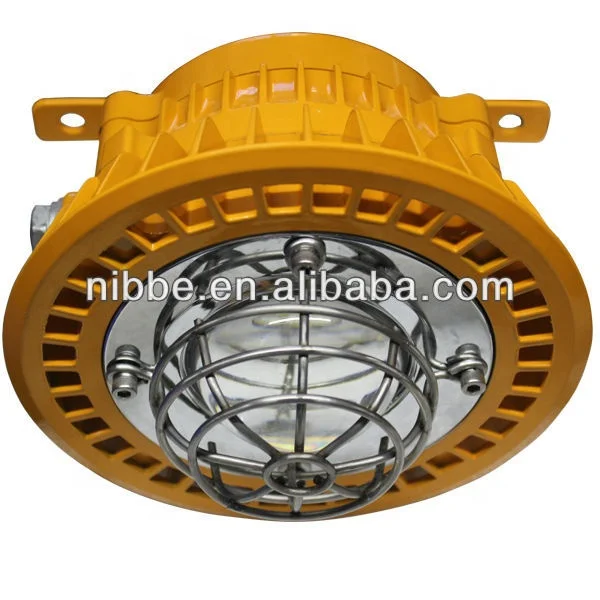 Coal Mine atex approved led explosion proof light DC24V flood light 20W/25W/30W china professional lighting supplier