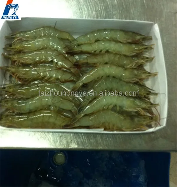 
frozen HLSO/HOSO prawn frozen Penaeus Vannamei Shrimp 