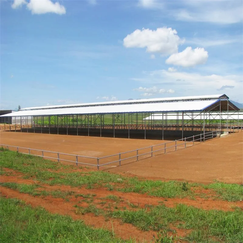 
Sale steel structure cowshed 