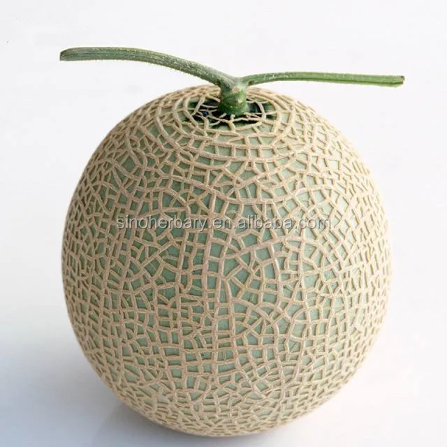 
New Variety Hybrid Melon Seeds, BJY NO.4 Cantaloupe Seeds 