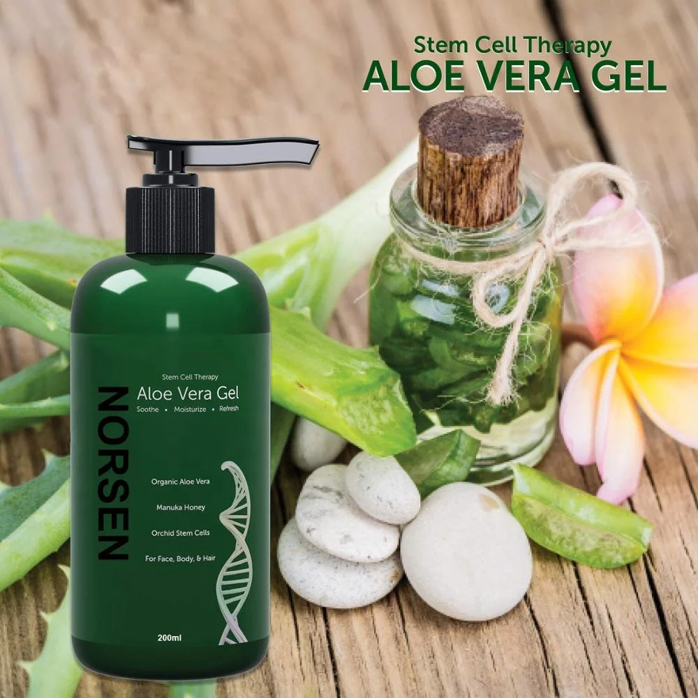 OEM Pure Natural Organic Soothe Moisturizing Aloe Vera Gel