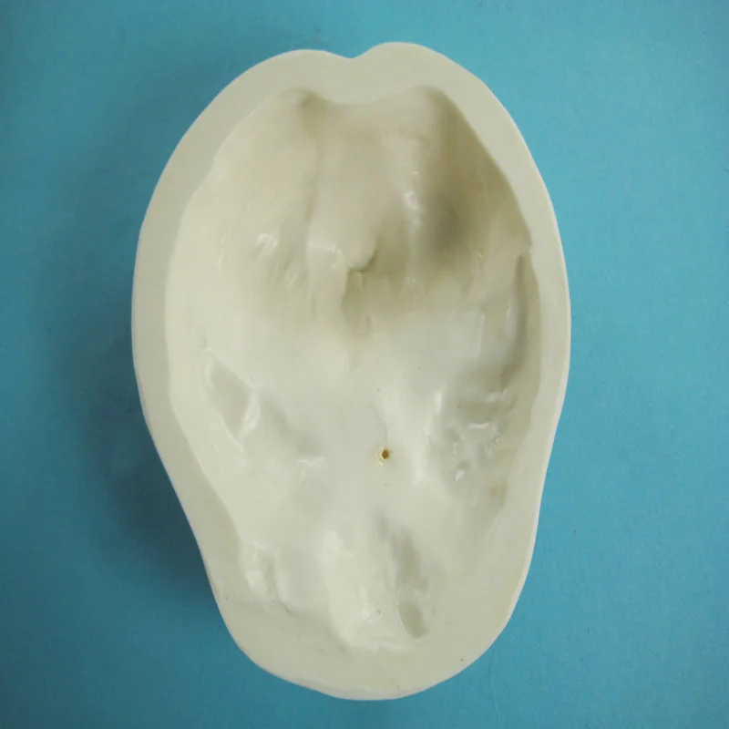 
Biology Education Equipment Anatomical Human Brain Model 