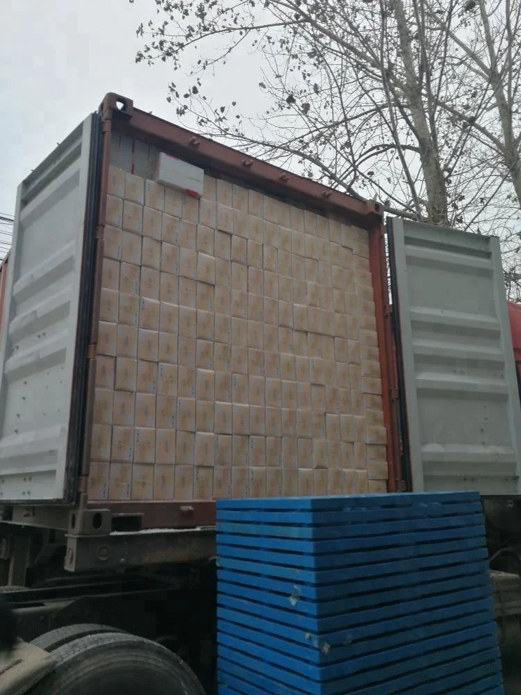 instant dry yeast 90g per bag for food