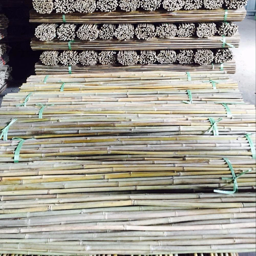 wholesale natural straight moso bamboo poles with decorative plants growing and construction