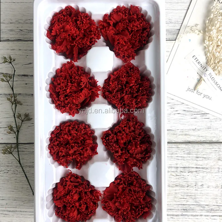 cheap price best quality China 4-5cm preserved carnation flower nice lower