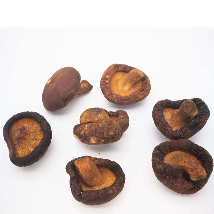 Low Temperature Vacuum Fried Vegetable Seeds Mushroom Growing Kit