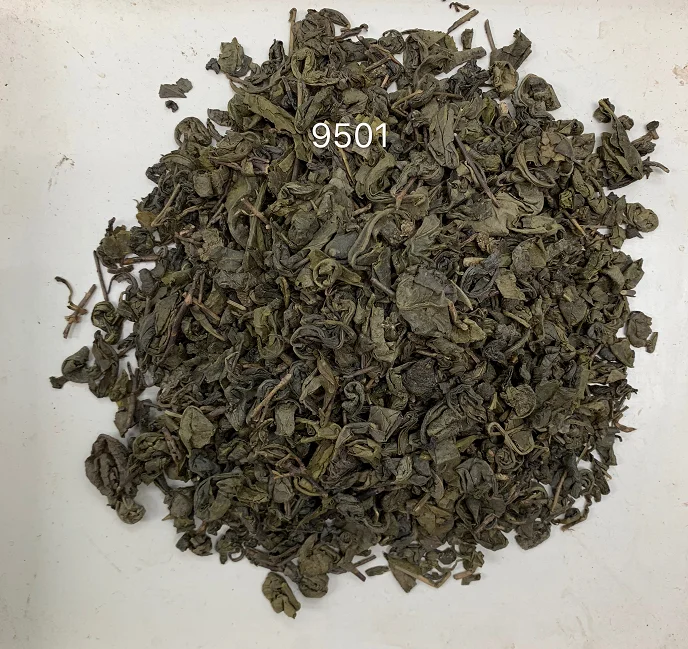 
9501 9502 low price green tea for Uzbekistan market from zhejiang tea factory 