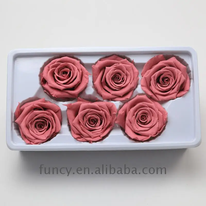 Wholesale A Grade 6 cm Pink Color Preserved Infinity Roses Flower Head From Yunnan FuncyFlora