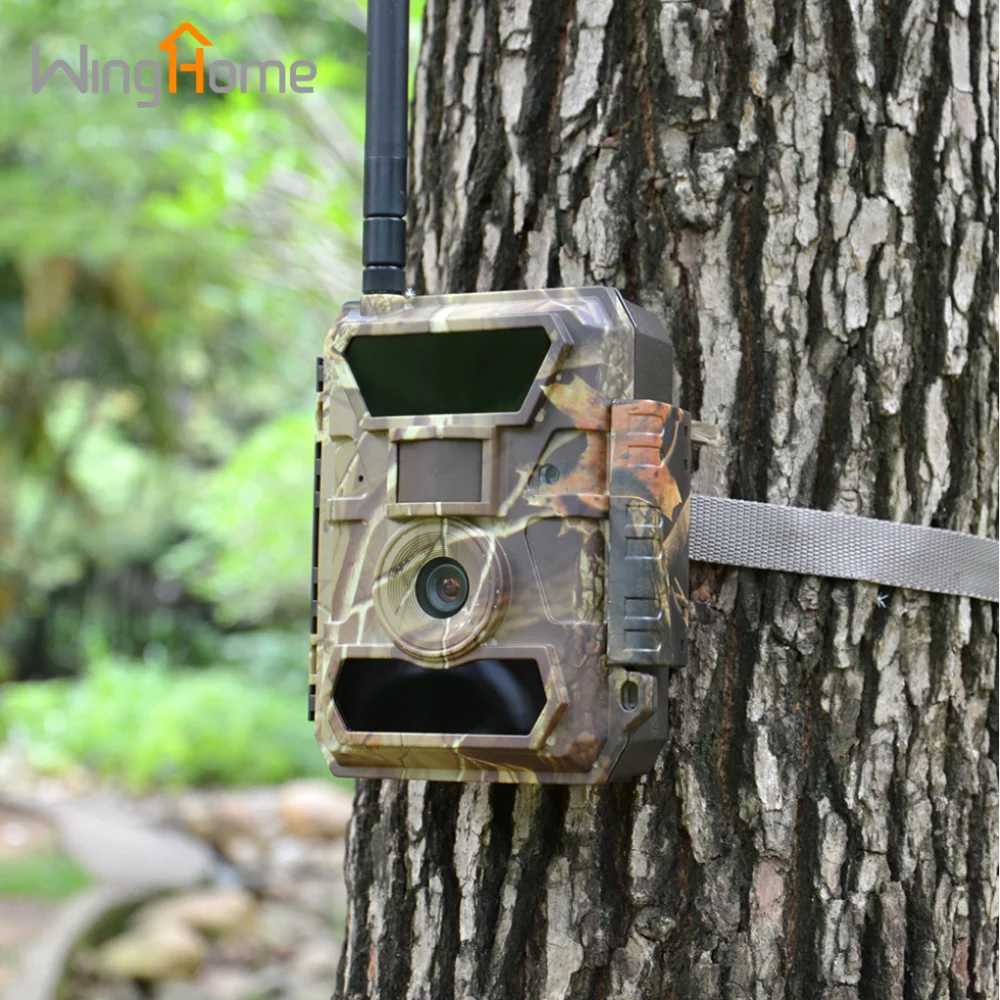 WingHome 350CG Night Vision Outdoor 3G digital trail hunting camera with ce/rohs/fcc