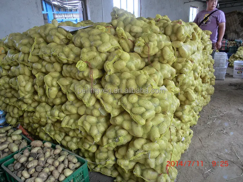 2018 свежий картофель, китайская фабрика