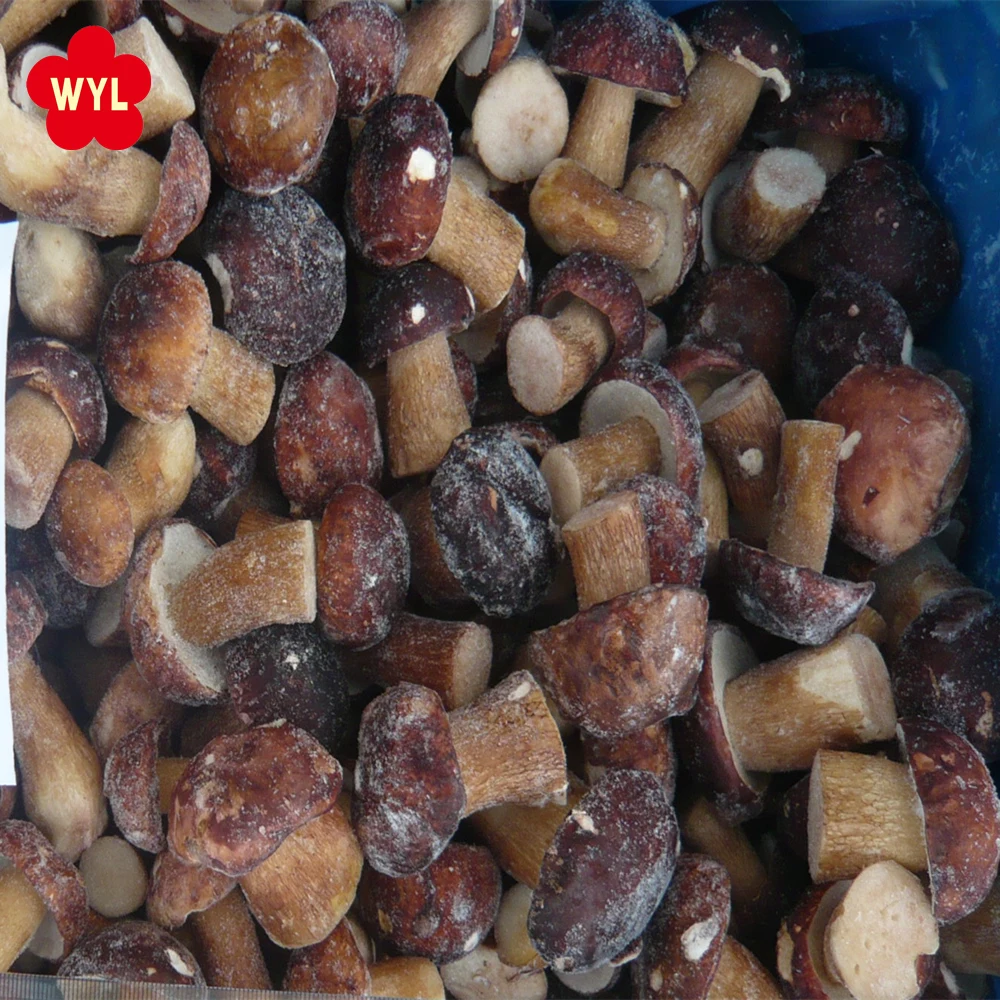 
china good price IQF Frozen Mushrooms Boletus Edulis 