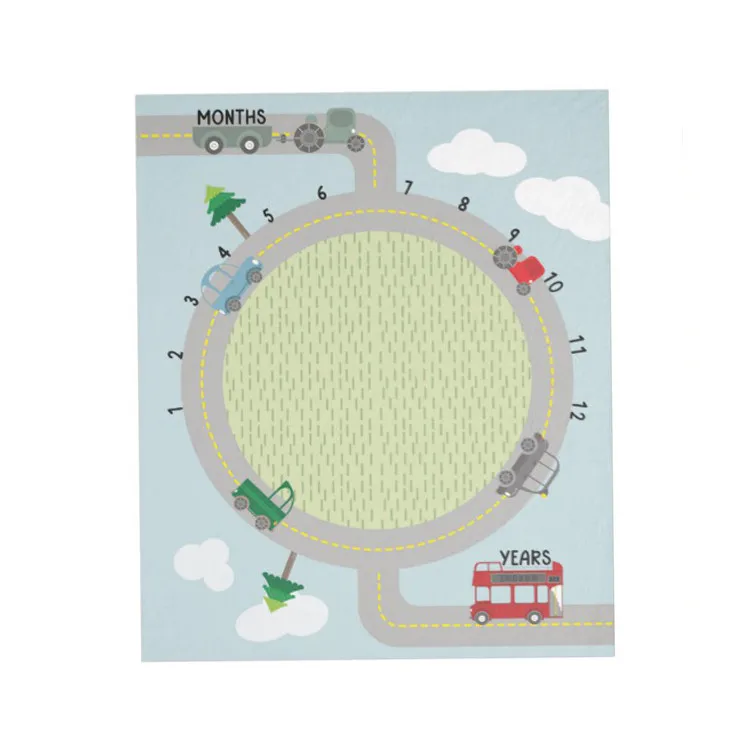 
Monthly Milestone Baby Blanket Photo Prop Set Newborn Photography 