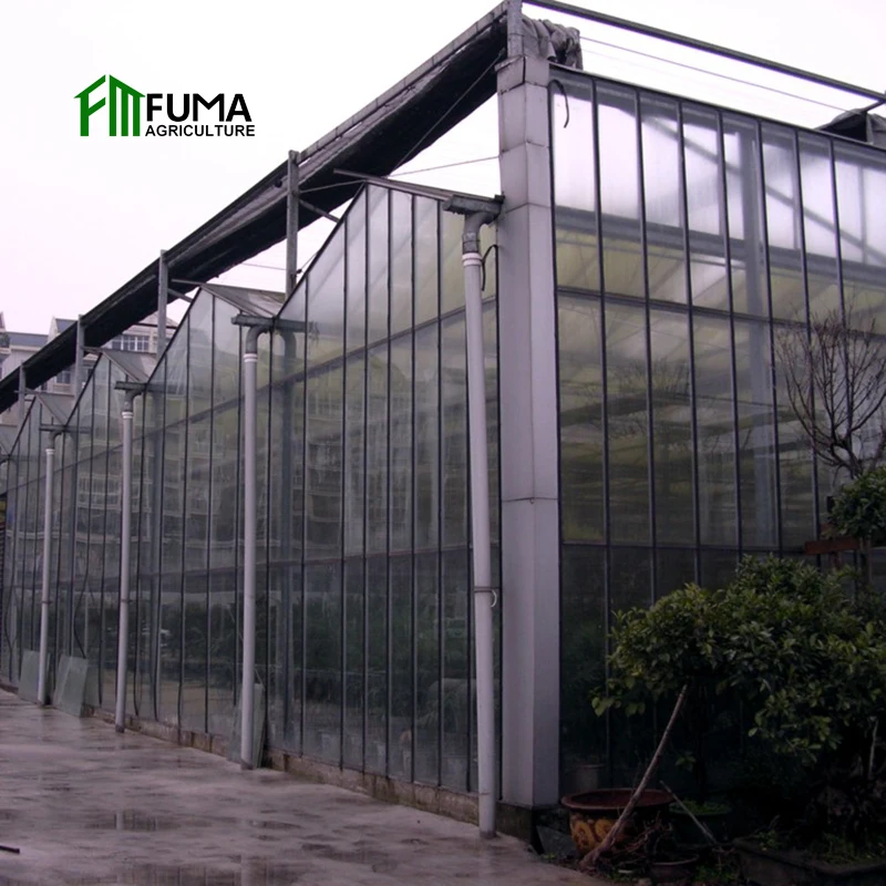Многопролетные кратным green house в сельском хозяйстве гидропоники agricole стекло сер теплица на продажу