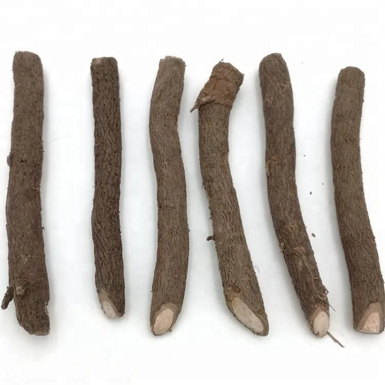 
Высокое качество 99% Выживание холодностойкий корень paulownia shan tong для выращивания 