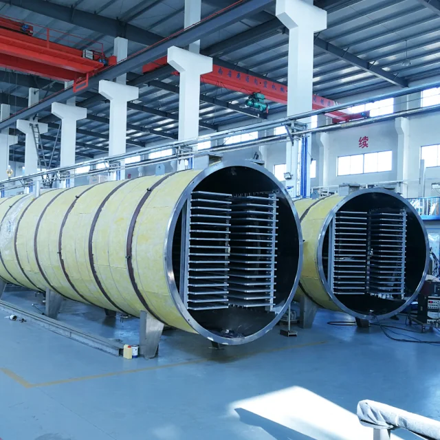 Middle production type food lyophilizer fruit food vacuum freeze drying machine food freeze dryer