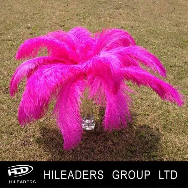 AL103 wholesale ostrich feather/ostrich plumes feathers for decoration