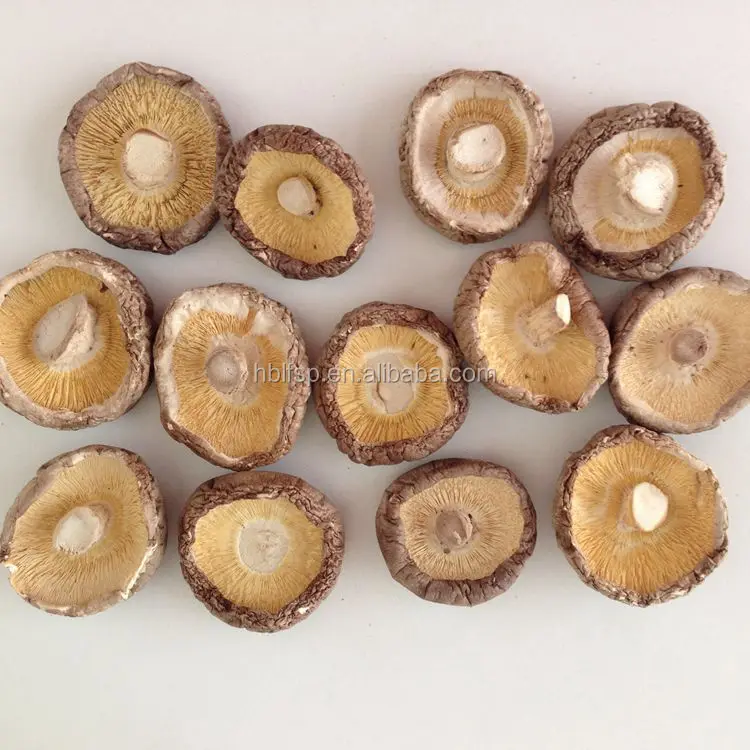 
China Dried Shiitake Mushroom with 3-4 CM 