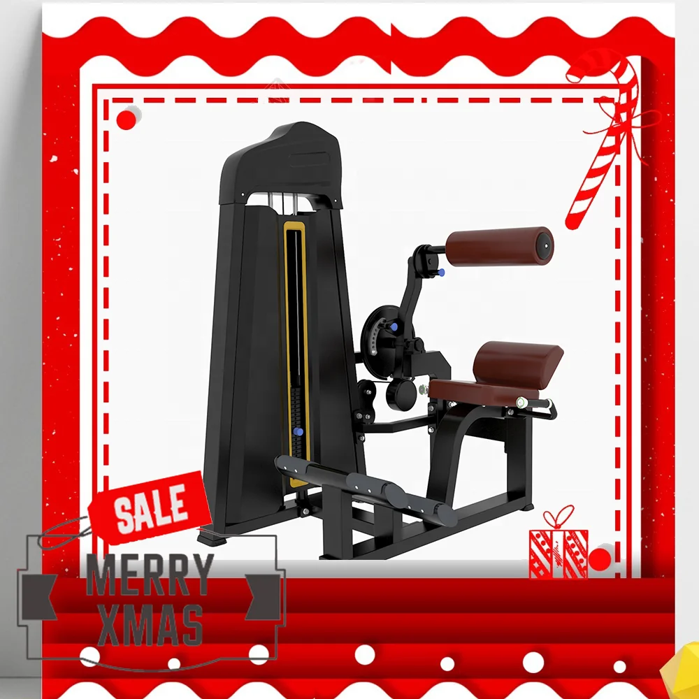 Lower back Body Building Total Abdominal Crunch Gym Fitness Machine