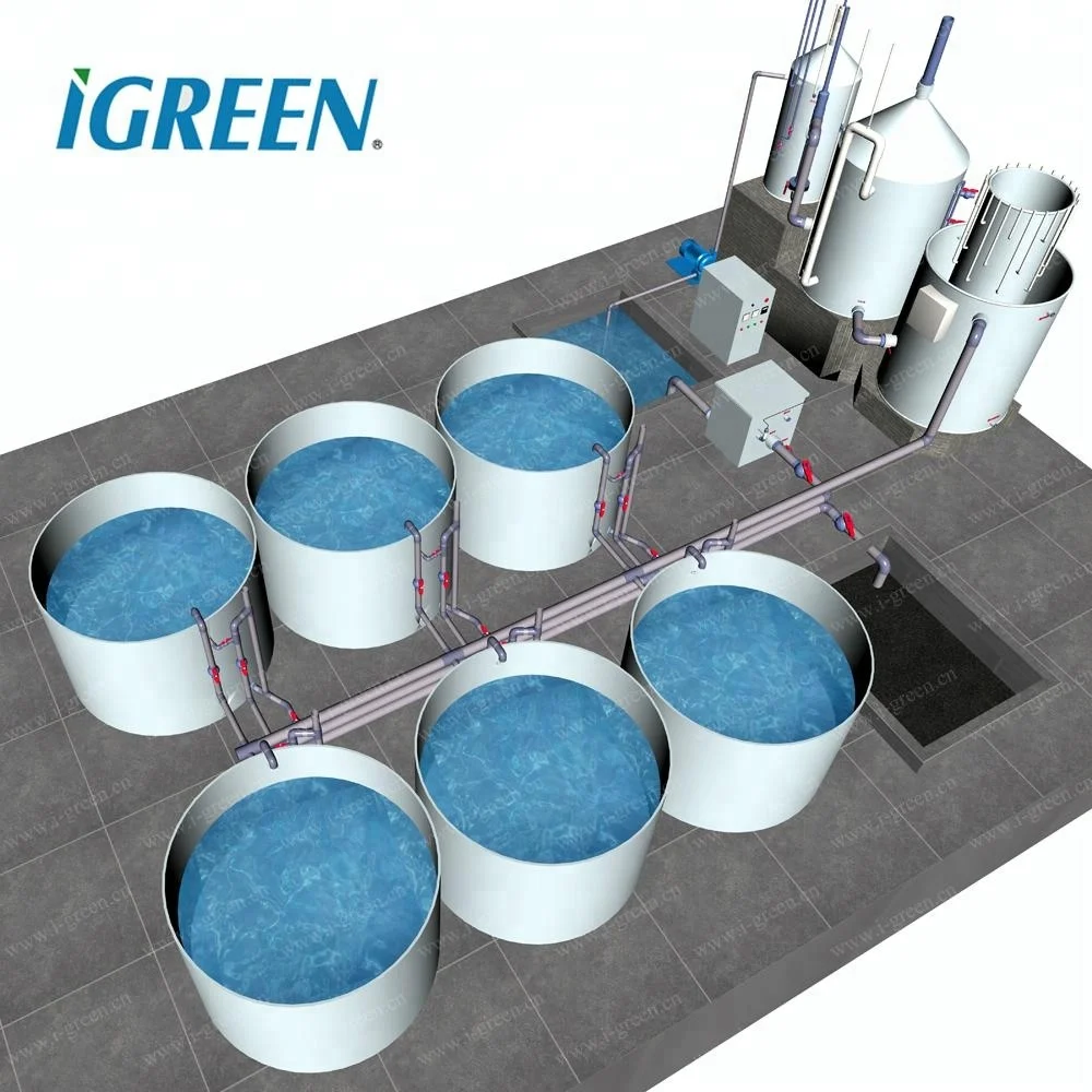 indoor aquaponics systems