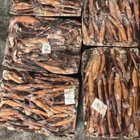 2019 best quality and freshest seafood  frozen illex argentina squid