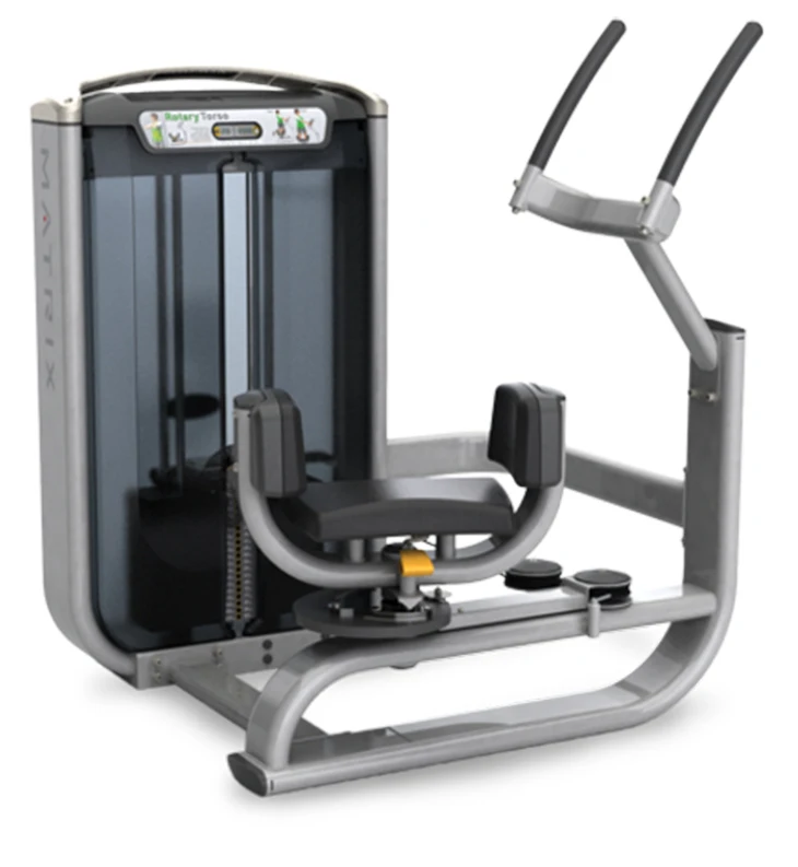 commercial sport gym equipment manufacturers Back Extension RUIBU-Q010