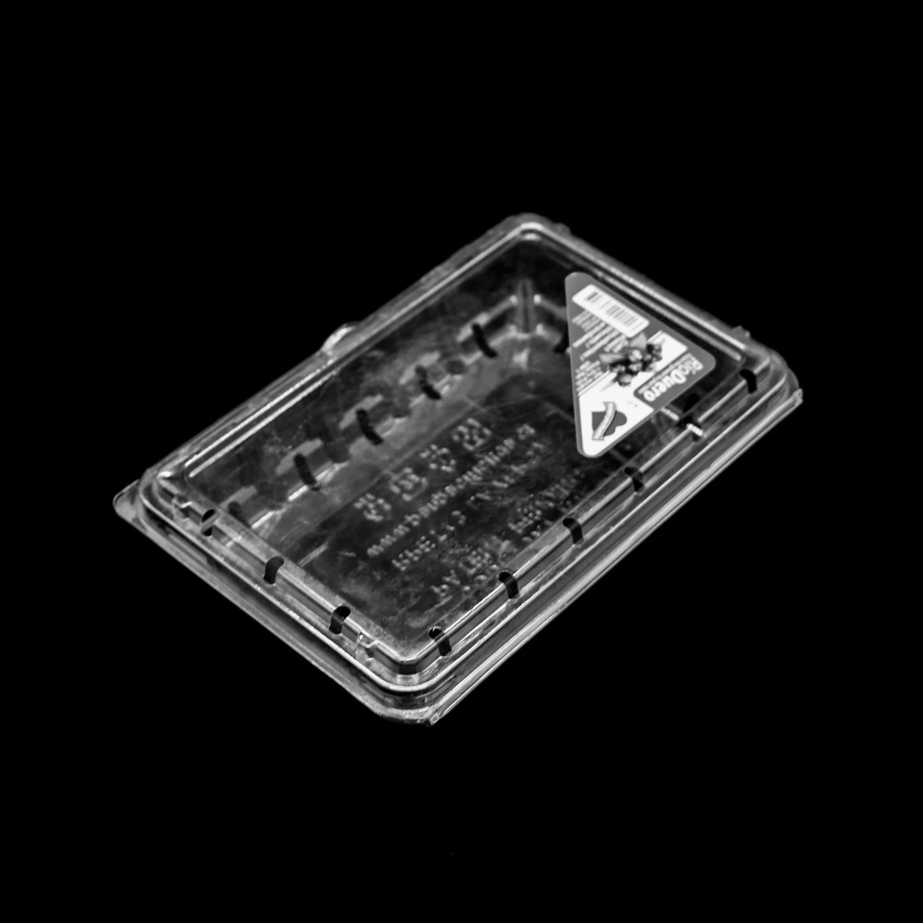 Shandong Factory  Hot Selling Transparent Blister Container Disposable Plastic Berry Fruit Packaging Box Strawberry Pack Trays