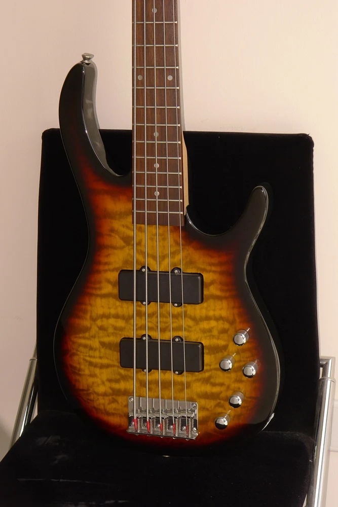 Promotion new 5 string bass bass guitar for sale electric bass EB-20/SB