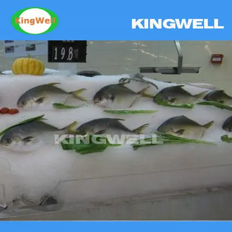 5 tons hot selling flake ice machine/maker