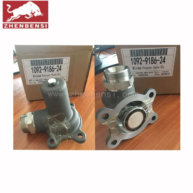 High Quality Air Compressor parts  Minimum Pressure Valve 1622273700 1092918624