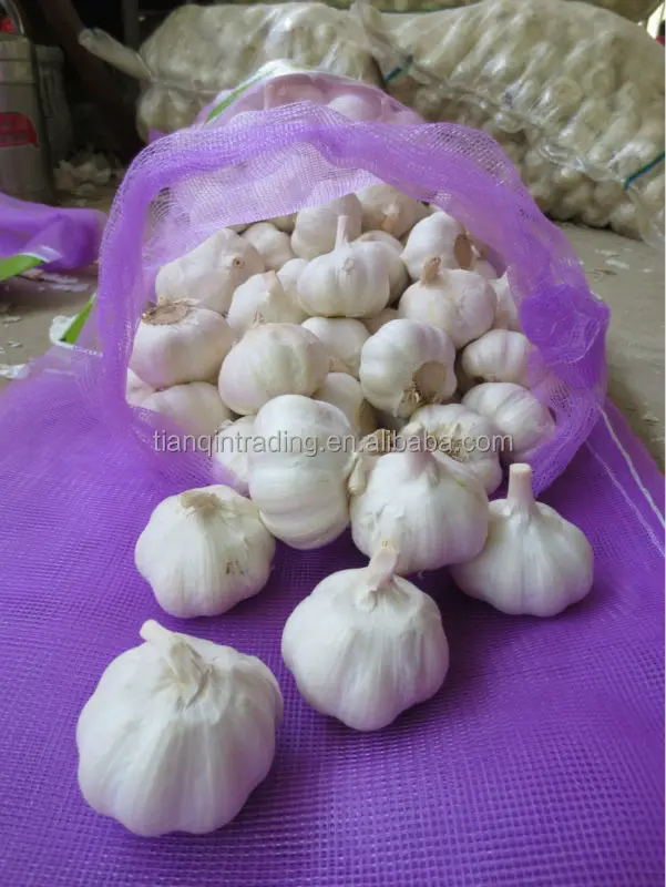 Fresh Garlic