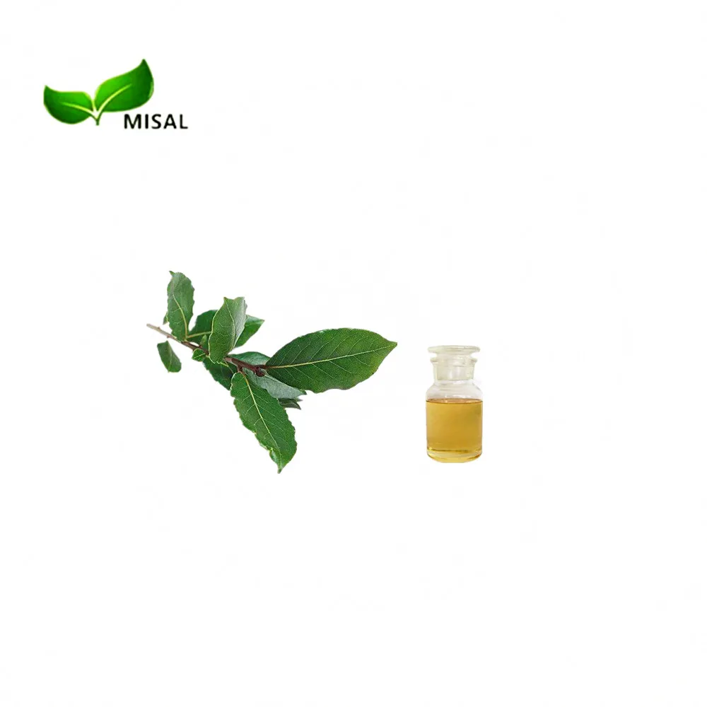 Manufacturer Supply Pure Geranium Essential Oil