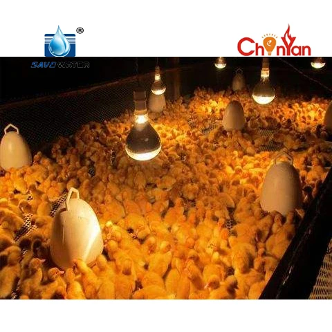 Инфракрасная лампа для обогрева животных