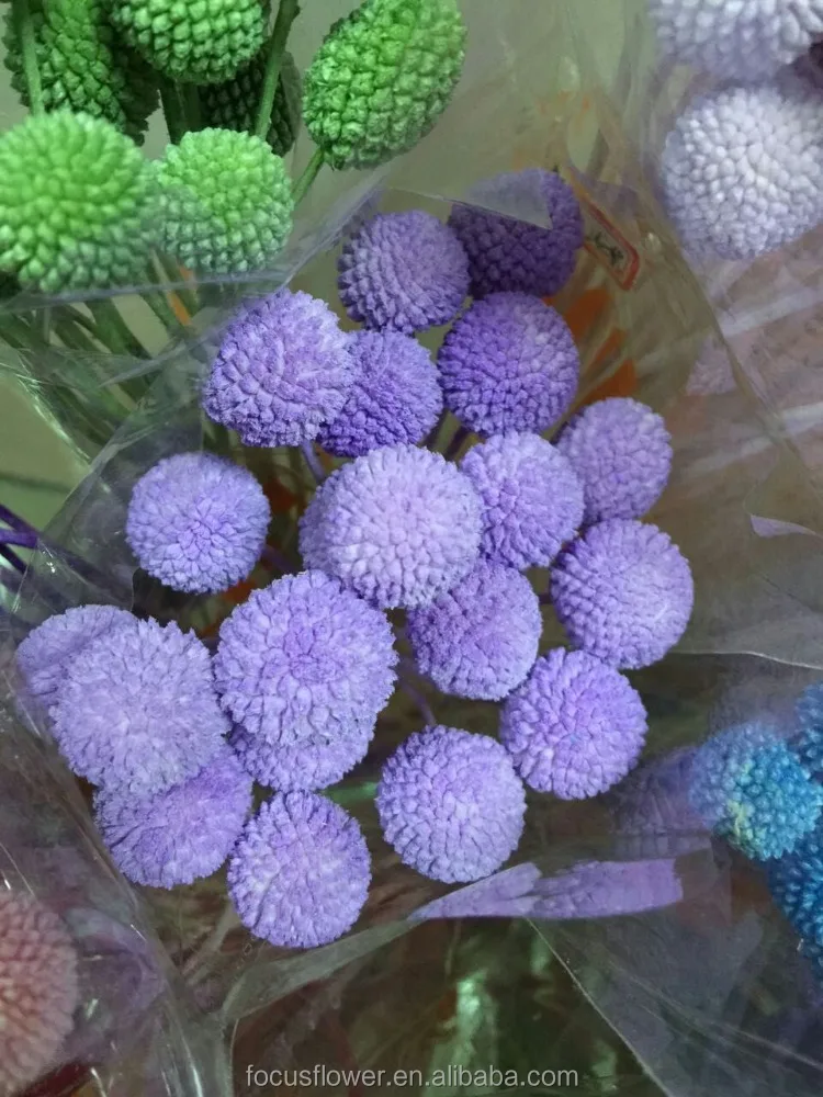 fast delivery wholesale real preserved roses cut price for weddings