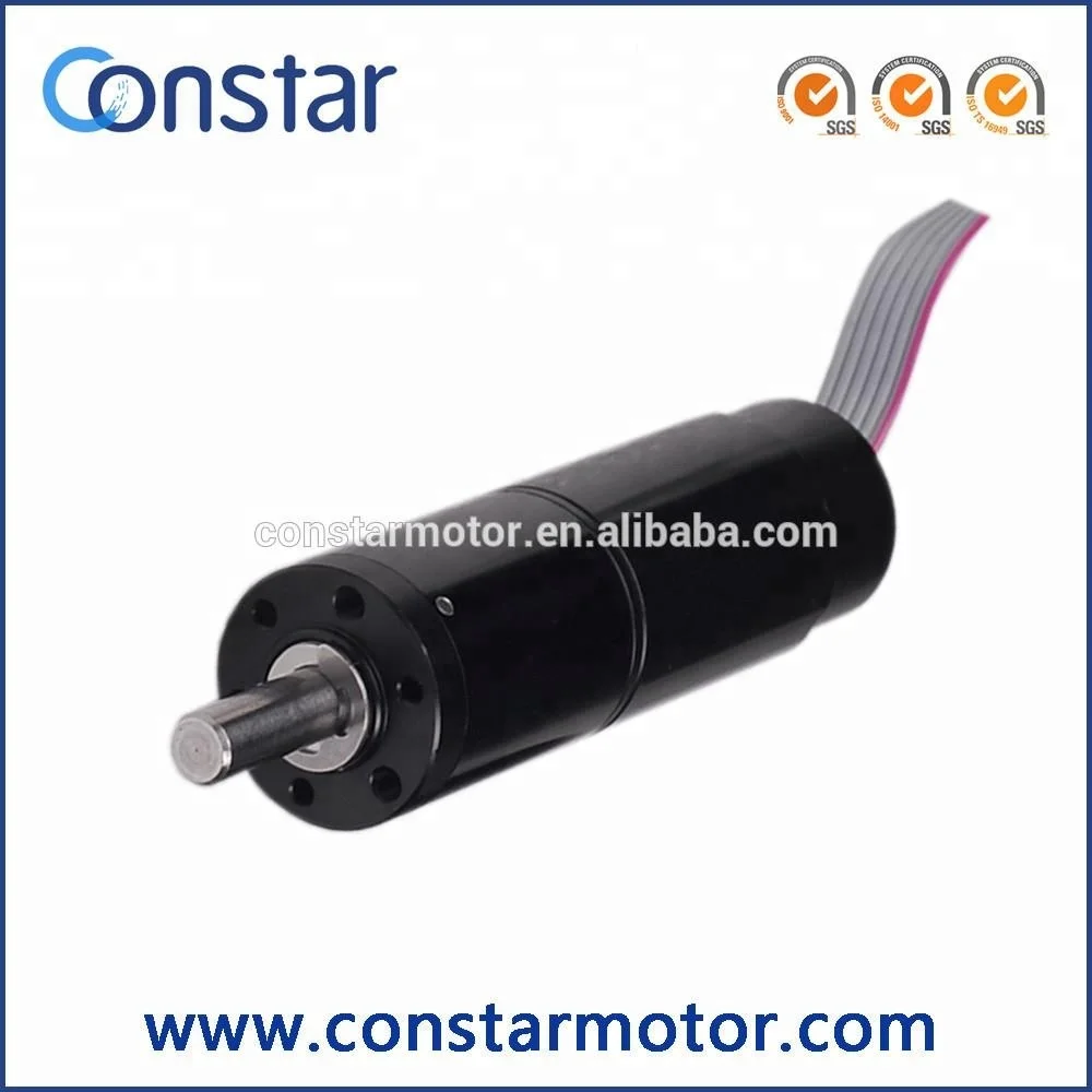 Chinese Supplier Mini 12 volt DC Servo Motor 24v DC Servo Motor Price
