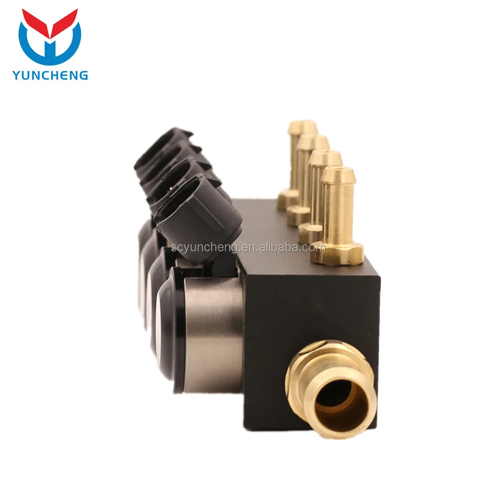 
YCI04012 Cng Lpg Conversion Kit 4 Cylinder Injector Rail 