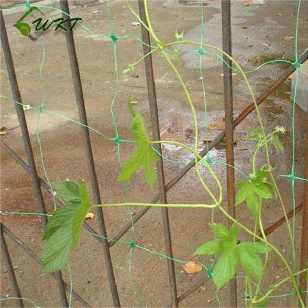 
black white green agriculture japanese garden trellis for pot plant netting plastic wire mesh 