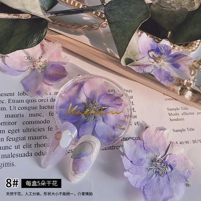 Manicure Ultra-thin Natural Dried Flowers Japanese Summer Cherry Blossom Dry Flowers For Nail Art