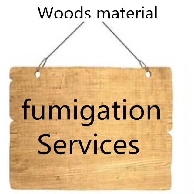 International shipping from Shenzhen freight forwarder sea  shipping China to Canada