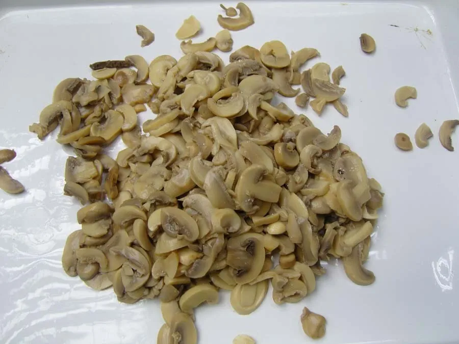 Chinese new crop mushroom canned food