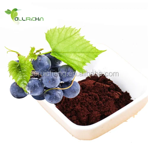 Grape Seed Extract  With 95% OPC and best price