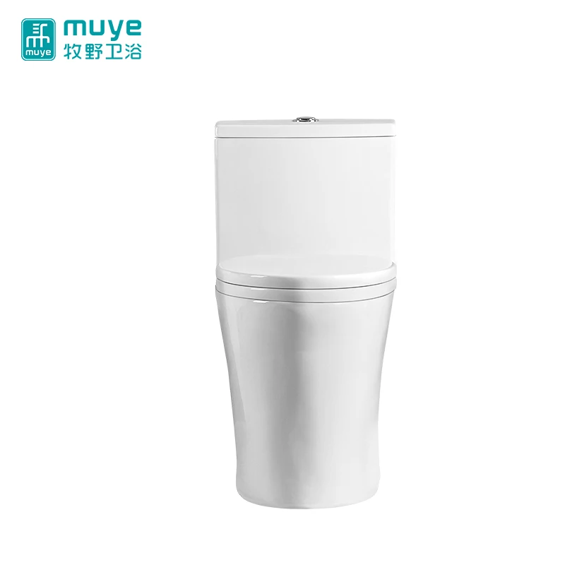 Water saving modern bathroom sanitary ware low price floor install ceramic siphon toilet