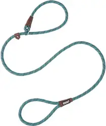 Adjustable mountain climbing loop slip lead for medium dogs, braided lead