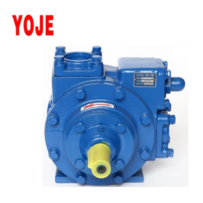 
YB sliding vane pump 