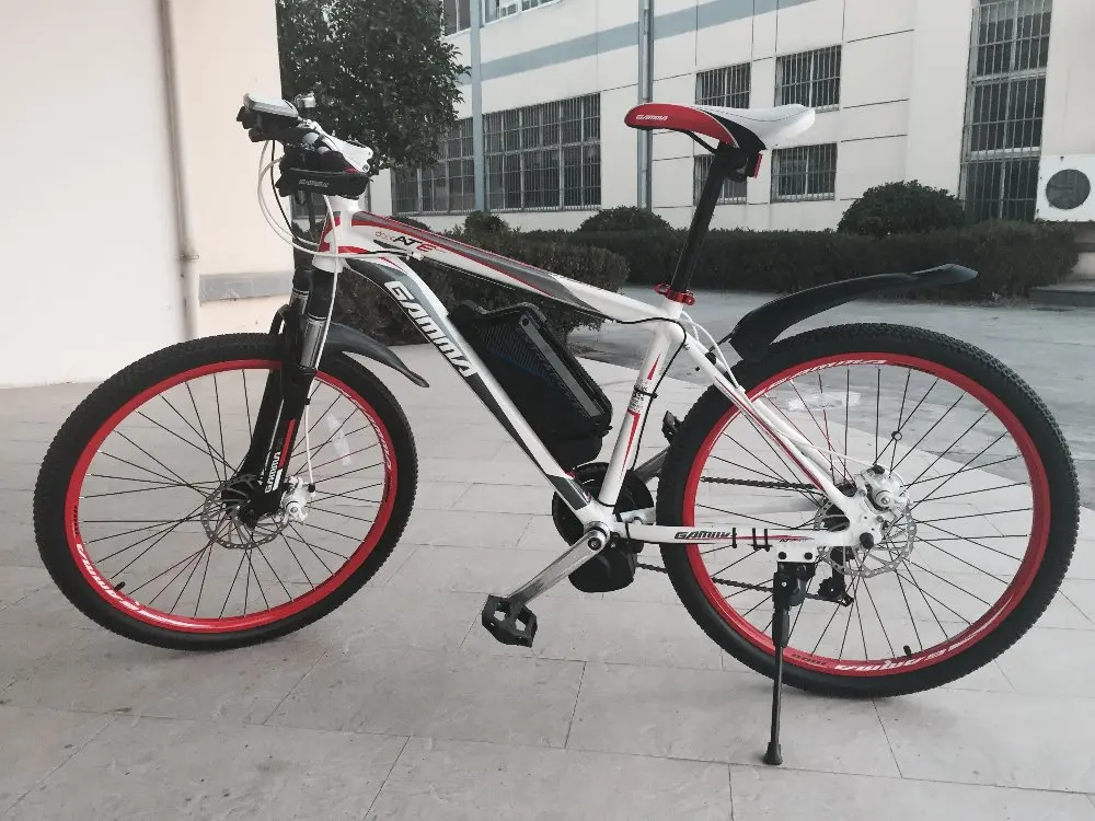 lower price tsdz2B 250w electric bike kit from china