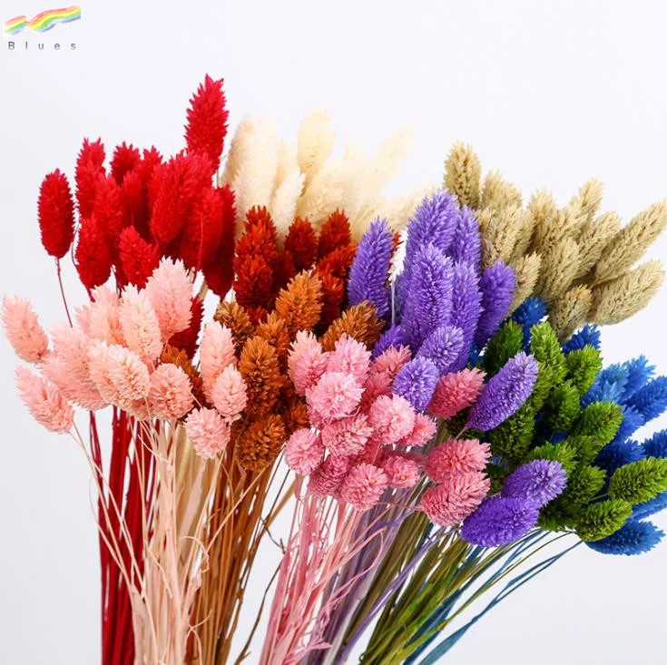Natural Dried Mini Flower Small Gem Grass for Decoration Phalaris Bundle 20pcs/bag