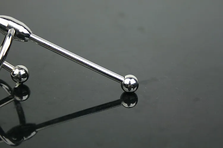 Medical Stainless Steel Penis Plug Toys Head Ring With Double Ball Prince Albert Wand